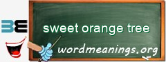 WordMeaning blackboard for sweet orange tree